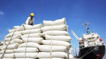 أكبر منتج للأرز.. دولة آسيوية تتصدر القائمة العالمية بإنتاجية سنوية ضخمة